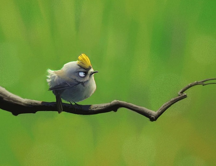 Contoh Surat Lamaran Kerja Office Girl